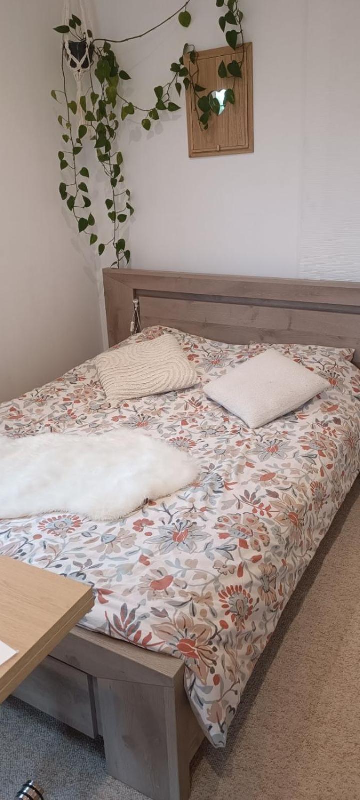 Appartamento Le Petit Cocon Montbozon Esterno foto